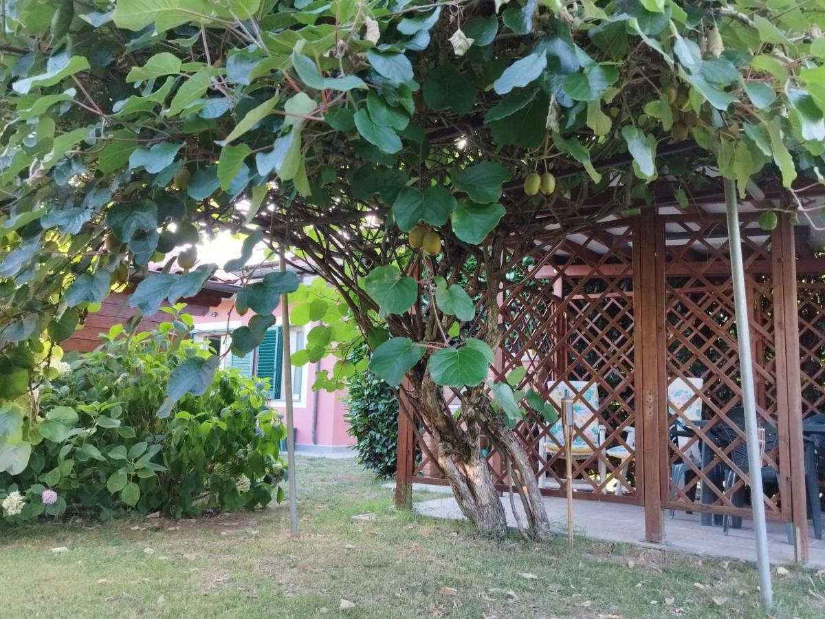 La Casina Villa Barga Eksteriør billede