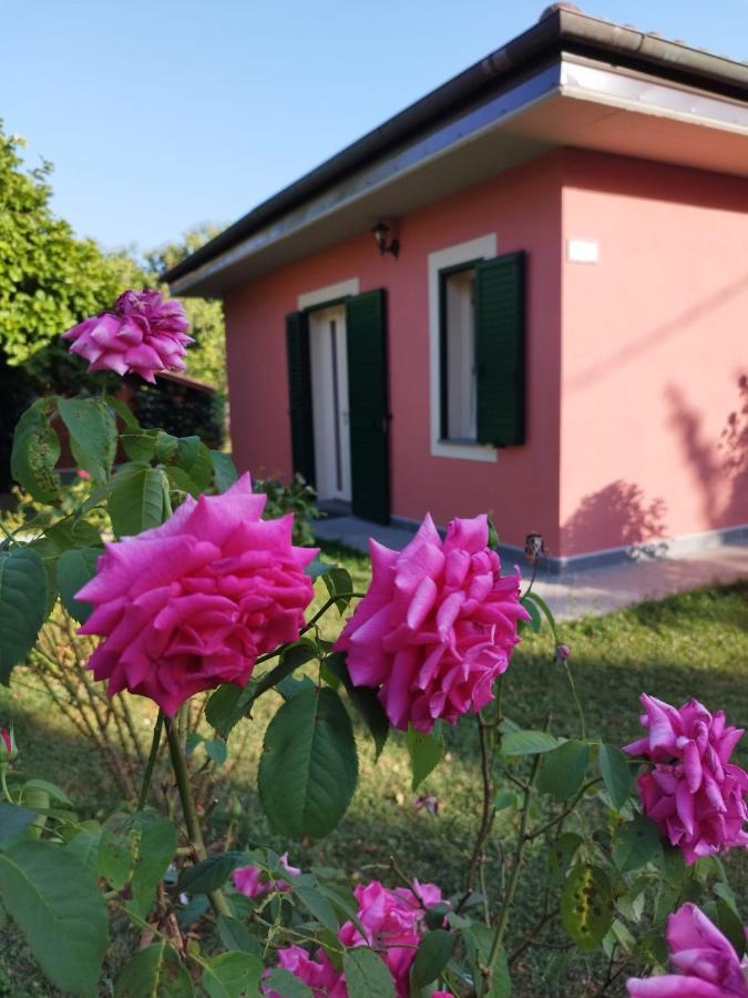 La Casina Villa Barga Eksteriør billede